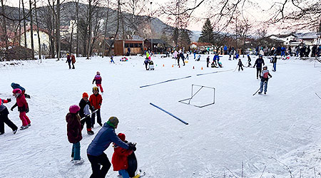 Eislaufen am Teich