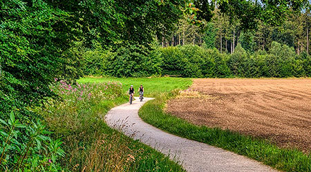 Radweg Kircberg a. Wechsel