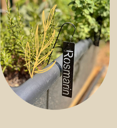 Gartenkräuter beim Ferienhaus in Kirchberg